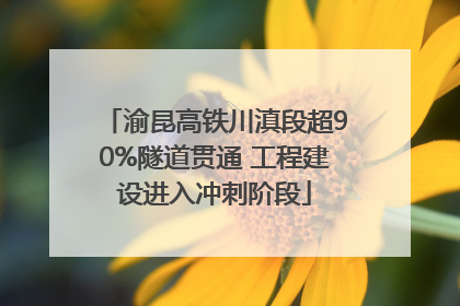 渝昆高铁川滇段超90%隧道贯通 工程建设进入冲刺阶段