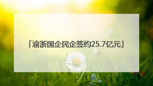 渝浙国企民企签约25.7亿元