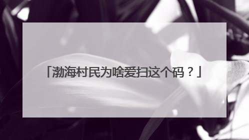 渤海村民为啥爱扫这个码？