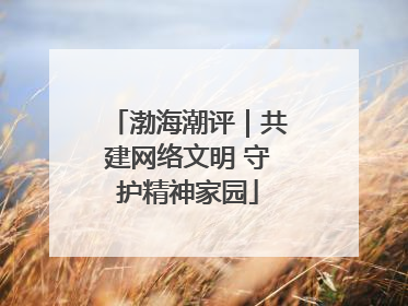 渤海潮评｜共建网络文明 守护精神家园