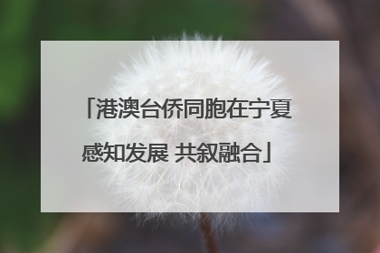 港澳台侨同胞在宁夏感知发展 共叙融合