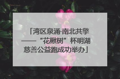 湾区泉涌·南北共擎——“花楸树”杯明湖慈善公益跑成功举办