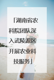 湖南省农科院团队深入武陵源区开展农业科技服务
