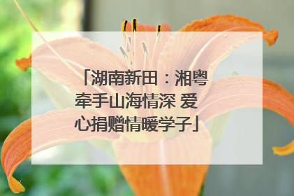 湖南新田：湘粤牵手山海情深 爱心捐赠情暖学子