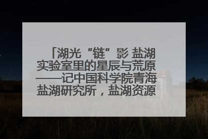 湖光“链”影 盐湖实验室里的星辰与荒原——记中国科学院青海盐湖研究所，盐湖资源化学实验室党总支书记、副主任刘忠