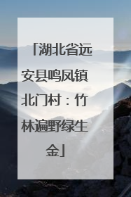 湖北省远安县鸣凤镇北门村：竹林遍野绿生金
