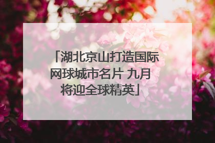 湖北京山打造国际网球城市名片 九月将迎全球精英