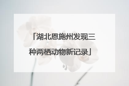 湖北恩施州发现三种两栖动物新记录