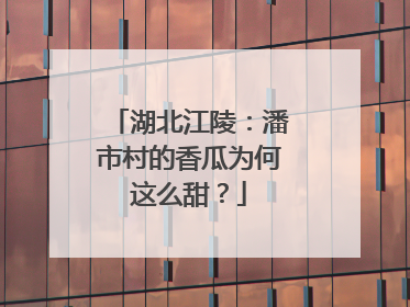 湖北江陵：潘市村的香瓜为何这么甜？