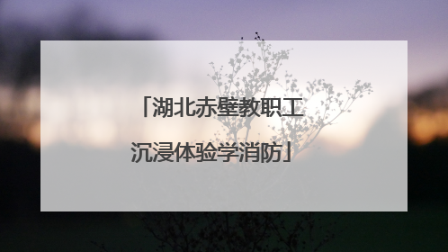 湖北赤壁教职工沉浸体验学消防