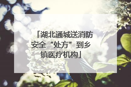 湖北通城送消防安全“处方”到乡镇医疗机构