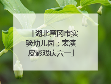 湖北黄冈市实验幼儿园：表演皮影戏庆六一