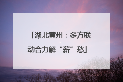 湖北黄州：多方联动合力解“薪”愁