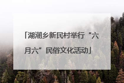 湖潮乡新民村举行“六月六”民俗文化活动