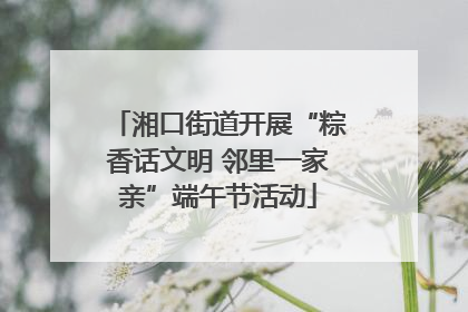 湘口街道开展“粽香话文明 邻里一家亲”端午节活动