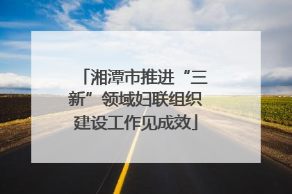 湘潭市推进“三新”领域妇联组织建设工作见成效