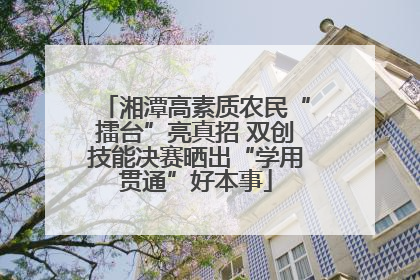 湘潭高素质农民“擂台”亮真招 双创技能决赛晒出“学用贯通”好本事