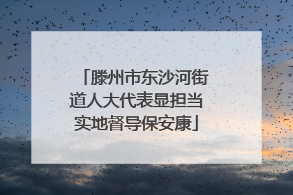 滕州市东沙河街道人大代表显担当实地督导保安康