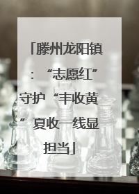 滕州龙阳镇：“志愿红”守护“丰收黄”夏收一线显担当