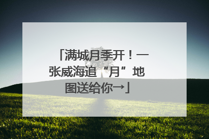 满城月季开！一张威海追“月”地图送给你→