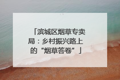 滨城区烟草专卖局：乡村振兴路上的“烟草答卷”