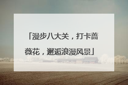 漫步八大关，打卡蔷薇花，邂逅浪漫风景