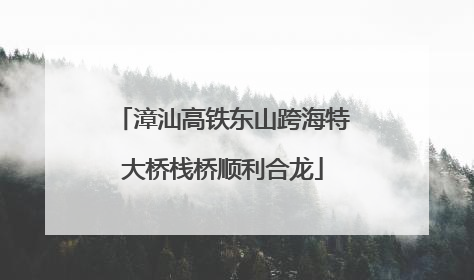 漳汕高铁东山跨海特大桥栈桥顺利合龙