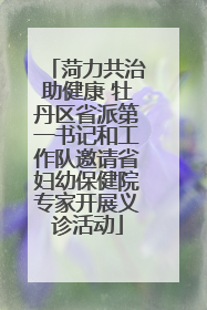 菏力共治助健康 牡丹区省派第一书记和工作队邀请省妇幼保健院专家开展义诊活动