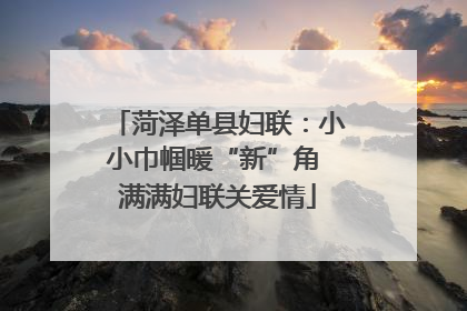 菏泽单县妇联：小小巾帼暖“新”角 满满妇联关爱情