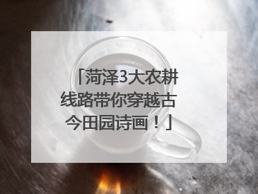 菏泽3大农耕线路带你穿越古今田园诗画！