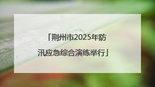 荆州市2025年防汛应急综合演练举行
