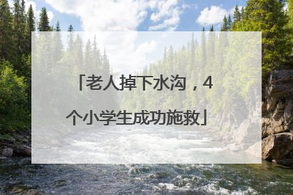 老人掉下水沟，4个小学生成功施救