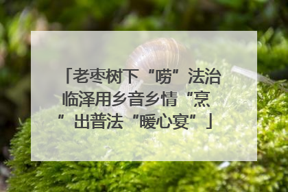 老枣树下“唠”法治 临泽用乡音乡情“烹”出普法“暖心宴”