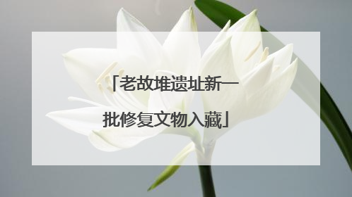 老故堆遗址新一批修复文物入藏