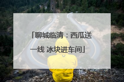 聊城临清：西瓜送一线 冰块进车间