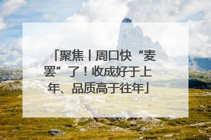 聚焦丨周口快“麦罢”了！收成好于上年、品质高于往年