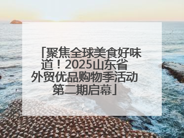 聚焦全球美食好味道！2025山东省外贸优品购物季活动第二期启幕