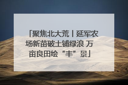 聚焦北大荒丨延军农场新苗破土铺绿浪 万亩良田绘“丰”景