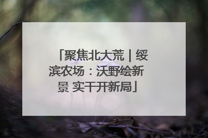 聚焦北大荒｜绥滨农场：沃野绘新景 实干开新局