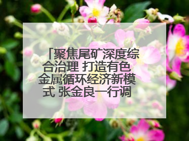 聚焦尾矿深度综合治理 打造有色金属循环经济新模式 张金良一行调研栾川县尾矿库综合治理工作