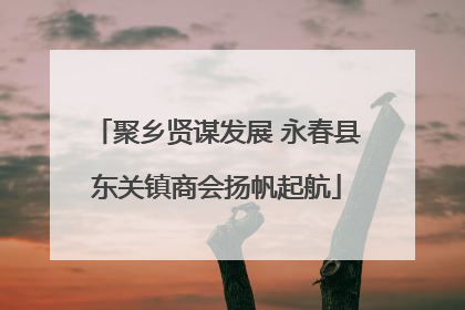 聚乡贤谋发展 永春县东关镇商会扬帆起航