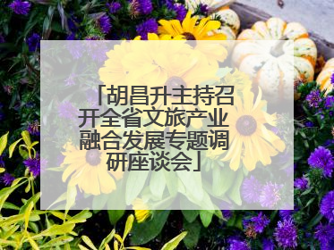 胡昌升主持召开全省文旅产业融合发展专题调研座谈会