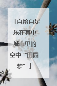 自给自足 乐在其中 城市里的空中“田园梦”