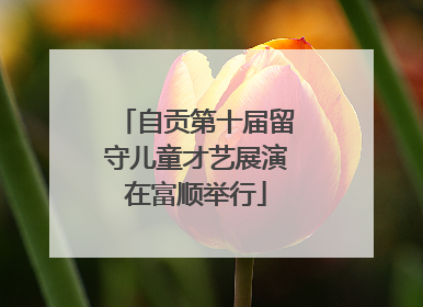 自贡第十届留守儿童才艺展演在富顺举行