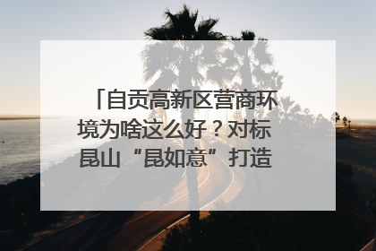 自贡高新区营商环境为啥这么好？对标昆山“昆如意”打造自贡“高兴办”｜美好生活有“盐”味