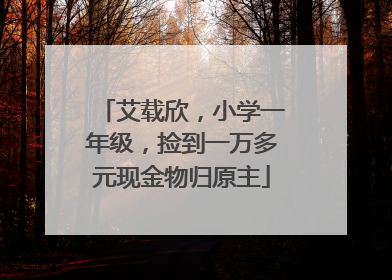 艾载欣，小学一年级，捡到一万多元现金物归原主