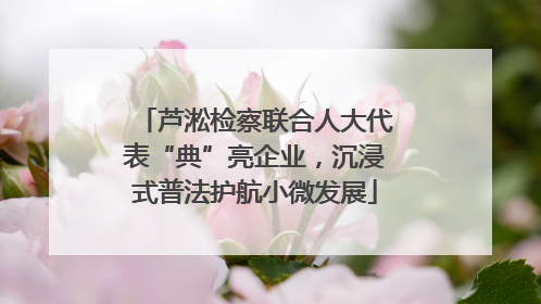 芦淞检察联合人大代表“典”亮企业，沉浸式普法护航小微发展
