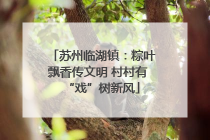 苏州临湖镇：粽叶飘香传文明 村村有“戏”树新风