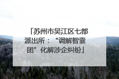 苏州市吴江区七都派出所：“调解智囊团”化解涉企纠纷