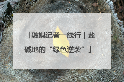 融媒记者一线行｜盐碱地的“绿色逆袭”